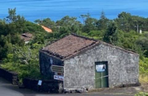 VENDE-SE TIPICA LOJA PICAROTA, SANTA LUZIA, SÃO ROQUE DO PICO