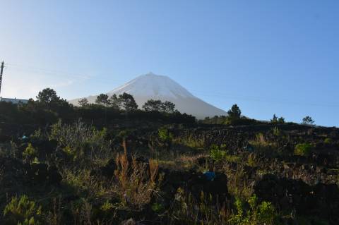 Terreno com Moinho - Oportunidade para Investimento!!!
