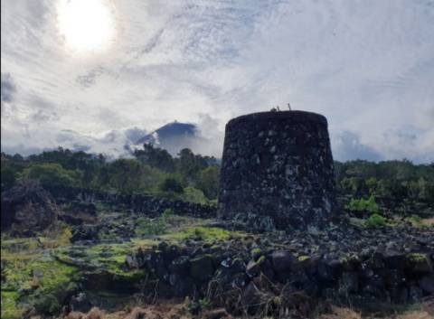 Terreno com Moinho - Oportunidade para Investimento!!!
