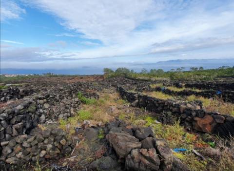 Terreno com Moinho - Oportunidade para Investimento!!!