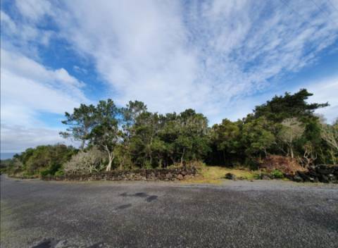 Terreno com Moinho - Oportunidade para Investimento!!!