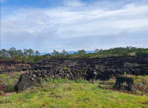 Terreno com Moinho - Oportunidade para Investimento!!!