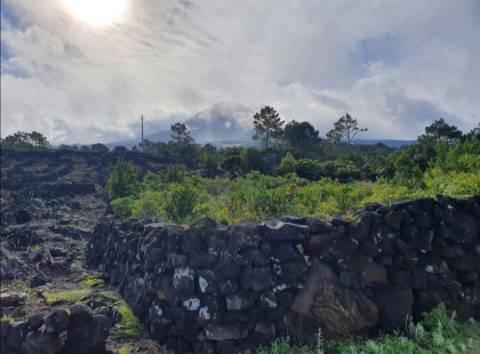 Terreno com Moinho - Oportunidade para Investimento!!!