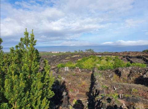 Terreno com Moinho - Oportunidade para Investimento!!!