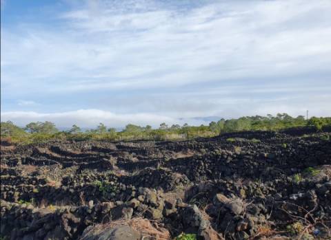 Terreno com Moinho - Oportunidade para Investimento!!!