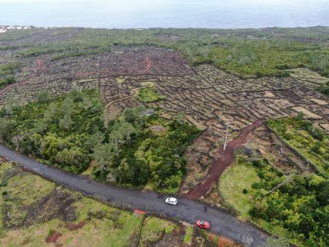 Terreno com Moinho - Oportunidade para Investimento!!!