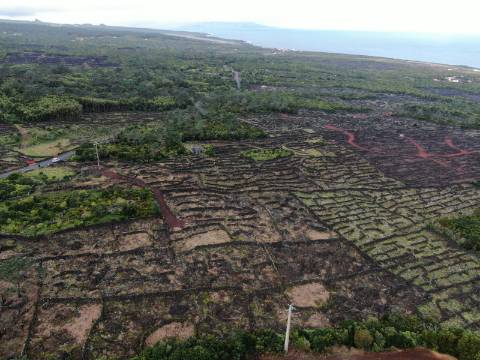 Terreno com Moinho - Oportunidade para Investimento!!!