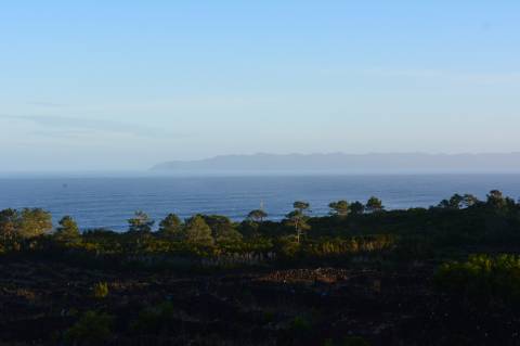 Terreno com Moinho - Oportunidade para Investimento!!!