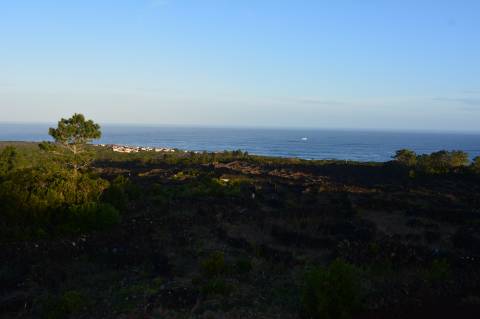 Terreno com Moinho - Oportunidade para Investimento!!!