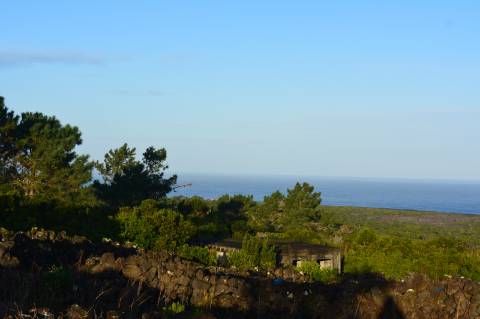 Terreno com Moinho - Oportunidade para Investimento!!!