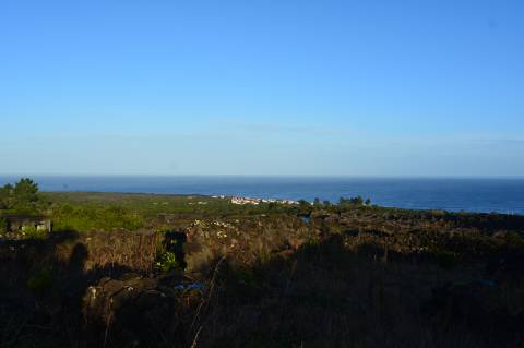 Terreno com Moinho - Oportunidade para Investimento!!!