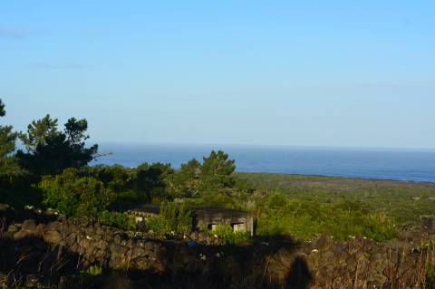 Terreno com Moinho - Oportunidade para Investimento!!!