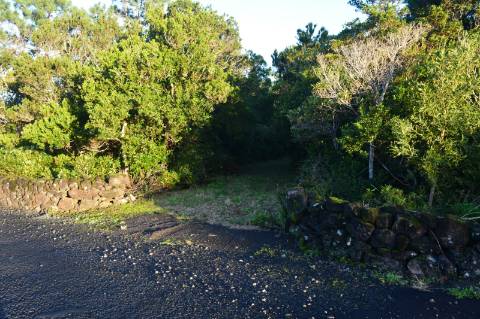 Terreno com Moinho - Oportunidade para Investimento!!!