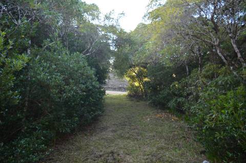 Terreno com Moinho - Oportunidade para Investimento!!!