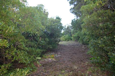 Terreno com Moinho - Oportunidade para Investimento!!!