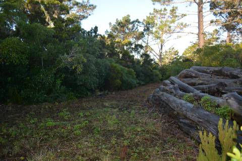 Terreno com Moinho - Oportunidade para Investimento!!!