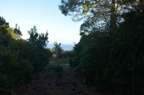 Terreno com Moinho - Oportunidade para Investimento!!!