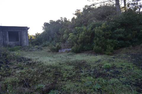 Terreno com Moinho - Oportunidade para Investimento!!!