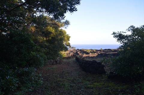 Terreno com Moinho - Oportunidade para Investimento!!!