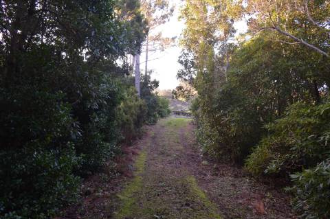 Terreno com Moinho - Oportunidade para Investimento!!!