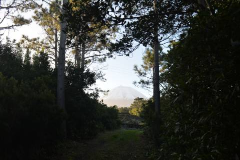 Terreno com Moinho - Oportunidade para Investimento!!!