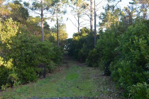 Terreno com Moinho - Oportunidade para Investimento!!!