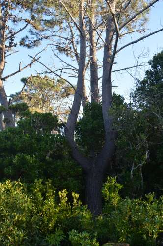 Terreno com Moinho - Oportunidade para Investimento!!!