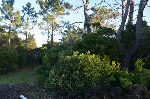 Terreno com Moinho - Oportunidade para Investimento!!!