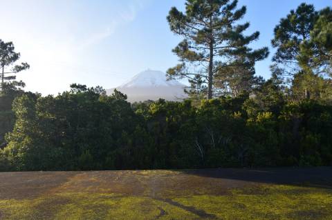 Terreno com Moinho - Oportunidade para Investimento!!!