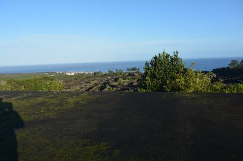 Terreno com Moinho - Oportunidade para Investimento!!!