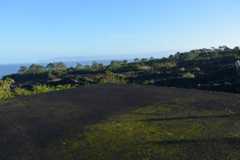 Terreno com Moinho - Oportunidade para Investimento!!!