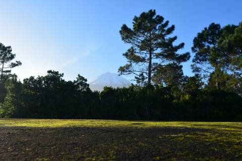 Terreno com Moinho - Oportunidade para Investimento!!!