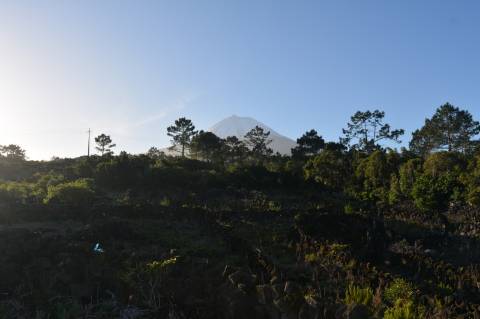 Terreno com Moinho - Oportunidade para Investimento!!!
