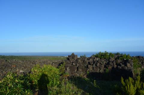 Terreno com Moinho - Oportunidade para Investimento!!!