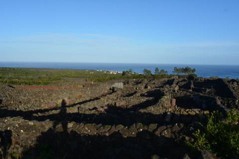 Terreno com Moinho - Oportunidade para Investimento!!!