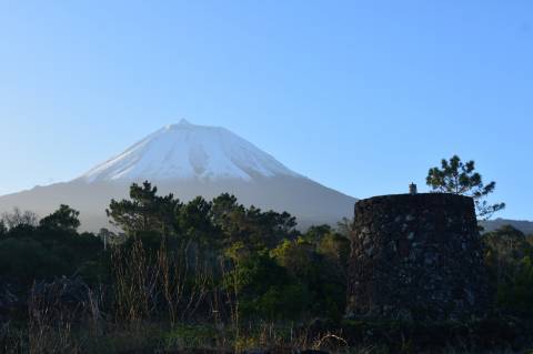 Terreno com Moinho - Oportunidade para Investimento!!!