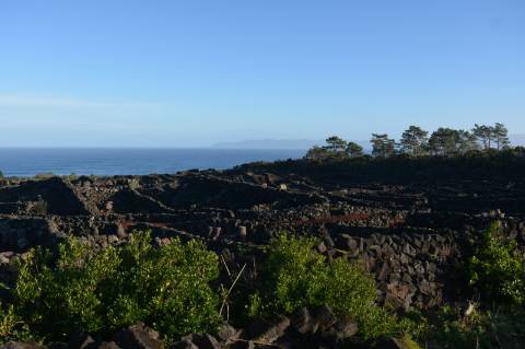 Terreno com Moinho - Oportunidade para Investimento!!!