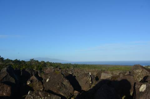 Terreno com Moinho - Oportunidade para Investimento!!!