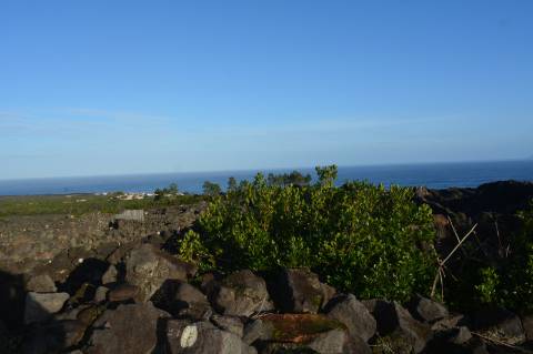 Terreno com Moinho - Oportunidade para Investimento!!!