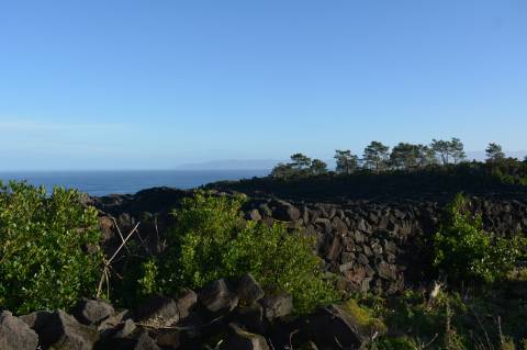 Terreno com Moinho - Oportunidade para Investimento!!!