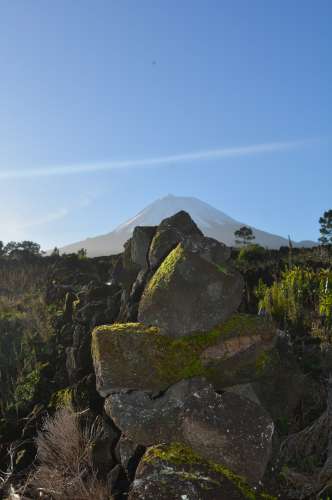 Terreno com Moinho - Oportunidade para Investimento!!!