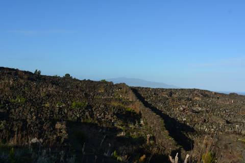 Terreno com Moinho - Oportunidade para Investimento!!!