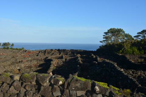 Terreno com Moinho - Oportunidade para Investimento!!!