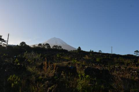 Terreno com Moinho - Oportunidade para Investimento!!!