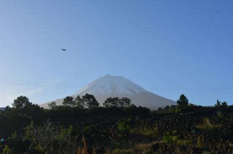 Terreno com Moinho - Oportunidade para Investimento!!!