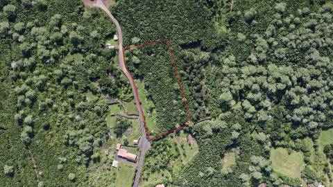 VENDE-SE TERRENO EM SANTA LUZIA, SÃO ROQUE DO PICO