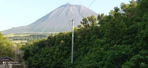 VENDE-SE TERRENO EM SANTA LUZIA, SÃO ROQUE DO PICO