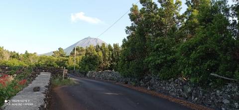 VENDE-SE TERRENO EM SANTA LUZIA, SÃO ROQUE DO PICO