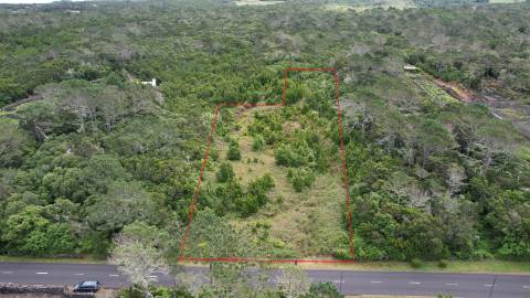 VENDE-SE TERRENOS NA CANDELÁRIA, MADALENA DO PICO