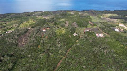 VENDE-SE TERRENOS NA CANDELÁRIA, MADALENA DO PICO